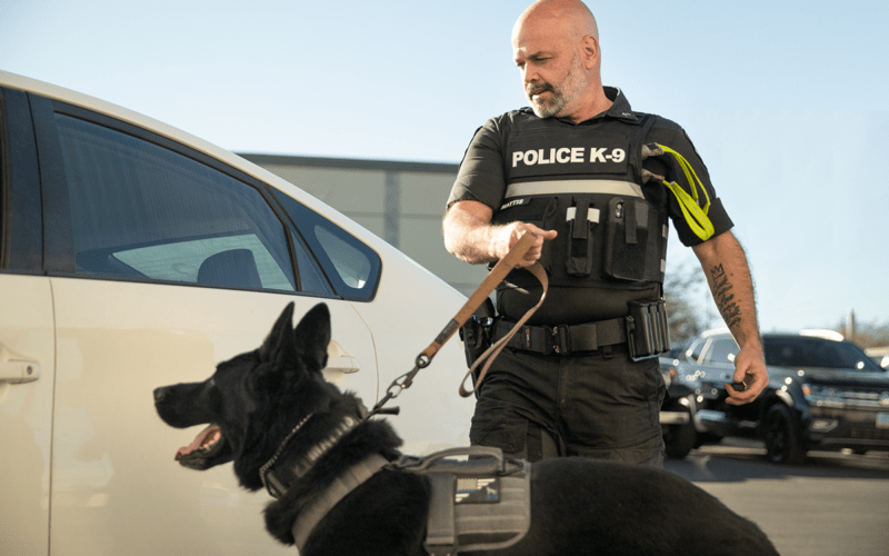 K9 Mattis and Sergeant Mark Tappan